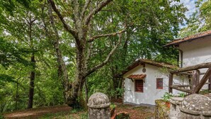 A rustic stone house with a tiled roof, surrounded by lush greenery and trees. - Vintage Vacation Home (San Marcello Piteglio)