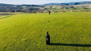 A bottle of wine on a grassy field with rolling hills in the background. - 360 Degree View of the Tuscan (Buonconvento)
