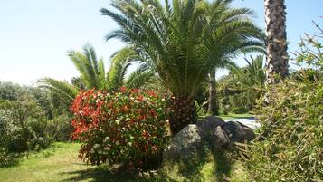 Villa | Garden