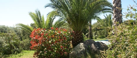 Villa | Tuin