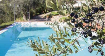 Modern Apartment in Larciano With Swimming Pool