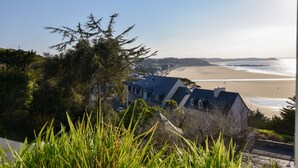 Vista costera con una playa, una casa de techo azul y follaje en primer plano.