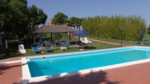 Piscina con sillas de descanso y sombrillas.