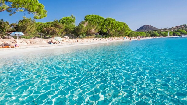 Une mer d’un bleu limpide, une plage de sable, des arbres et une côte rocheuse.