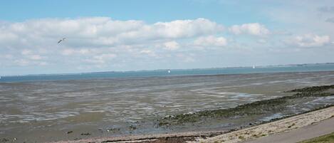 House | View from property