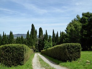 House | Exterior - Family Villa Pool in Volterra (Volterra)