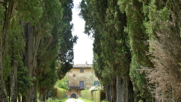 A pathway leading to a building surrounded by tall trees. - Tuscan Charm Near Volterra (Volterra)