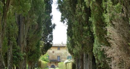 Family Villa Pool in Volterra