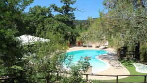 A swimming pool surrounded by trees and a white tent. - Charming Villa in Suvereto with Hot Tub (Suvereto)