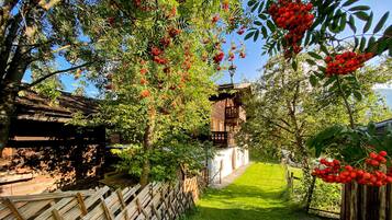 Un jardin avec une clôture en bois, un sentier et un bâtiment doté d’un toit en pente.
