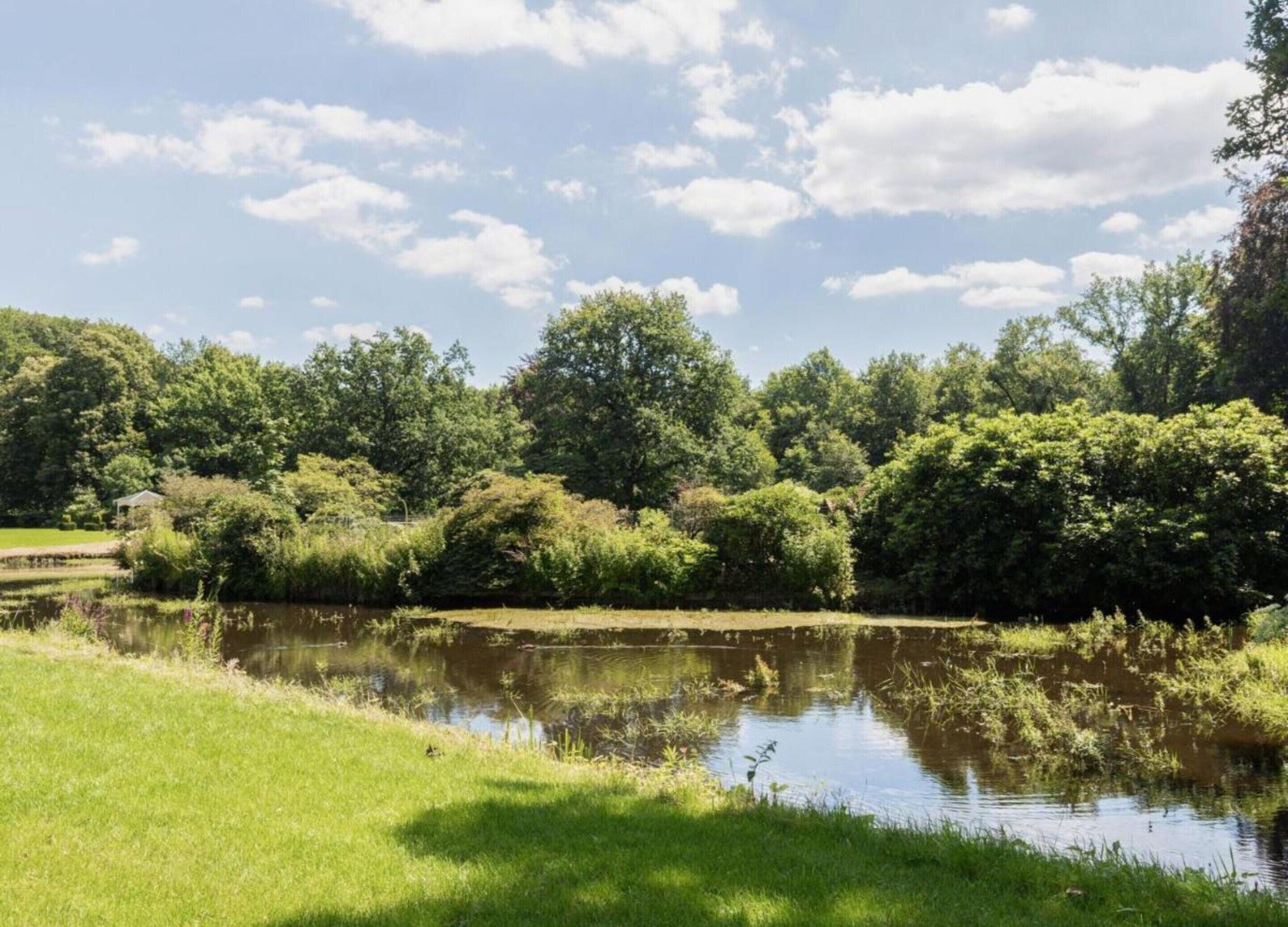 A serene pond surrounded by lush greenery and trees.