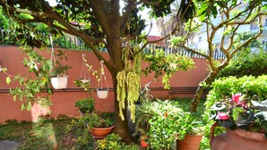 A lush garden with various potted plants and hanging baskets, a tree with hanging moss, and a red wall in the background. - Belvilla by OYO Casa Rosada (Pompei)