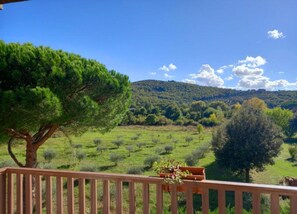 View from property - Mansion in Magione Near Zocco Beach (Magione)