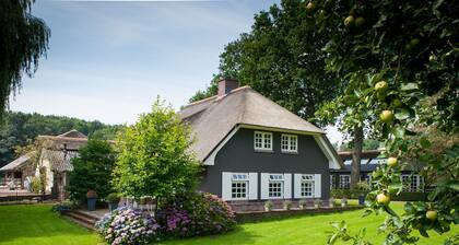 Rural Villa on a Large Estate in Rhenen With Pool & Sauna