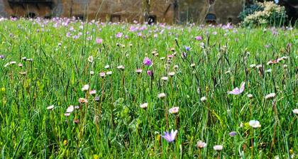 Holiday Home in Volterra With Pool and Terrace