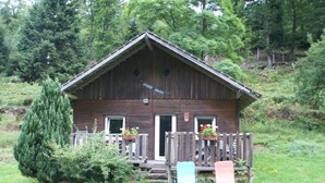 Exterior - Cozy Holiday Home in Dabo Near Forest (Dabo)