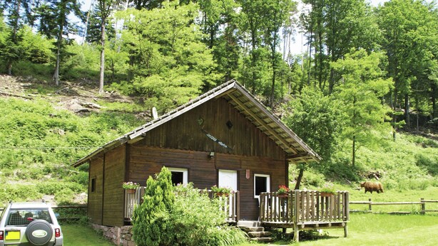House | Exterior - Cozy Holiday Home in Dabo Near Forest (Dabo)