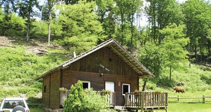 Cozy Holiday Home in Dabo Near Forest