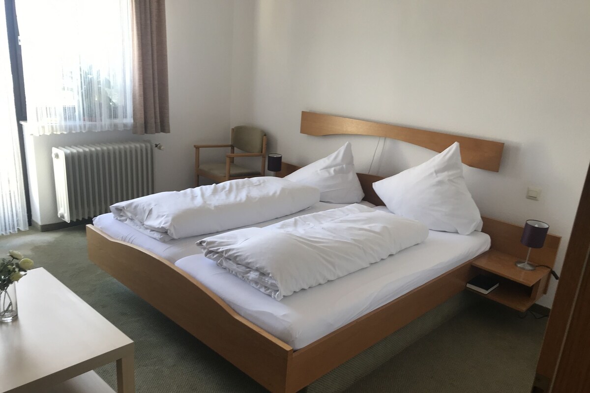 Doppel- oder Zweibettzimmer | Minibar, Bügeleisen/Bügelbrett, kostenloses WLAN