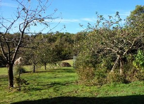 House | View from property - Normandy Bakery Retreat (Torigny-les-Villes)