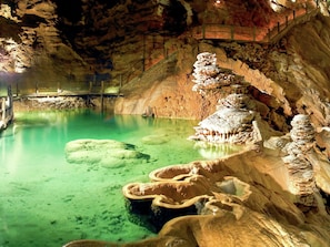 รูปภาพที่ไม่ได้จัดประเภท, 3 จาก 34, ปุ่ม