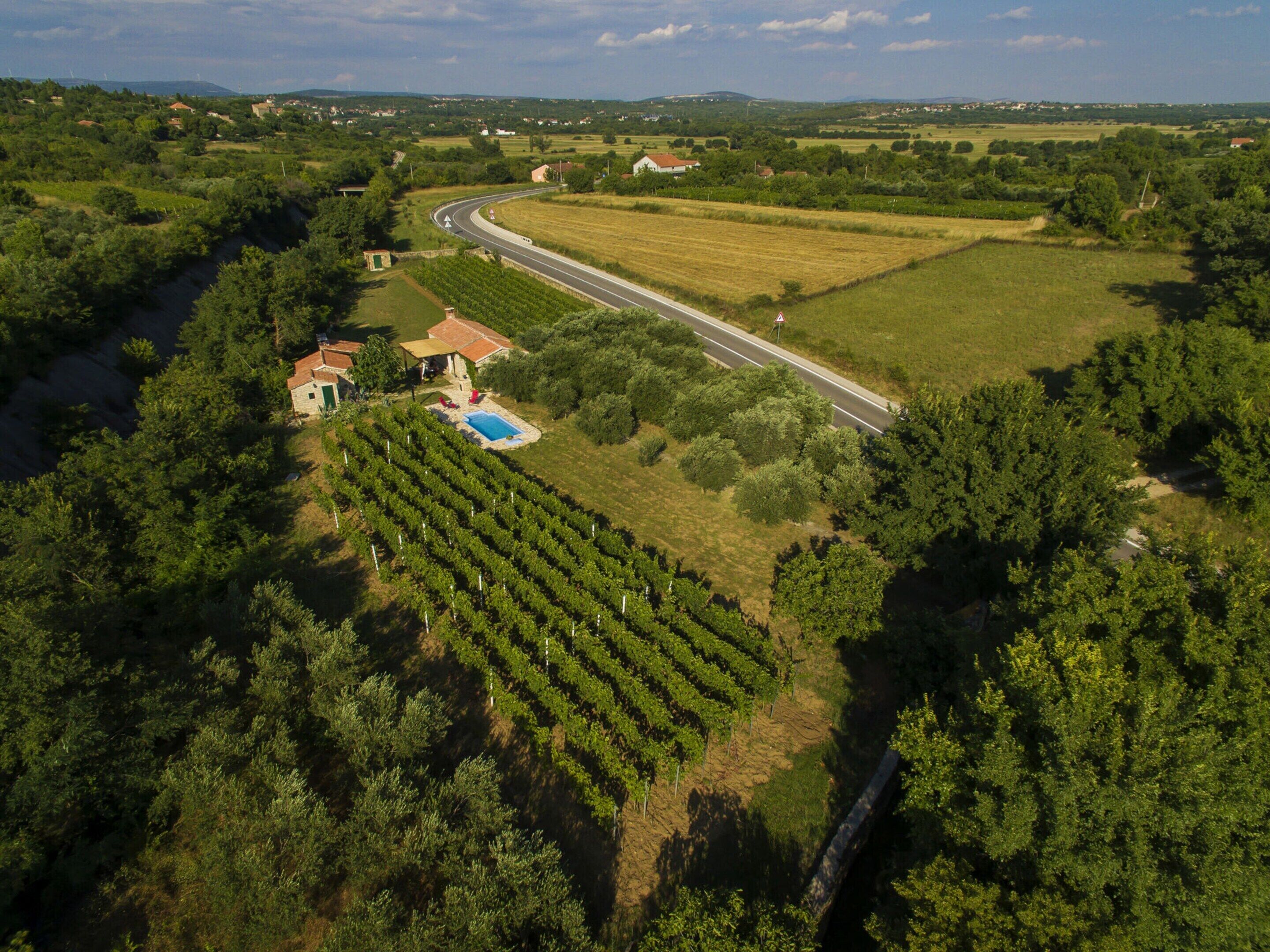 An aerial view of a vineyard with rows of grapevines, a swimming pool, and a house with a red roof.