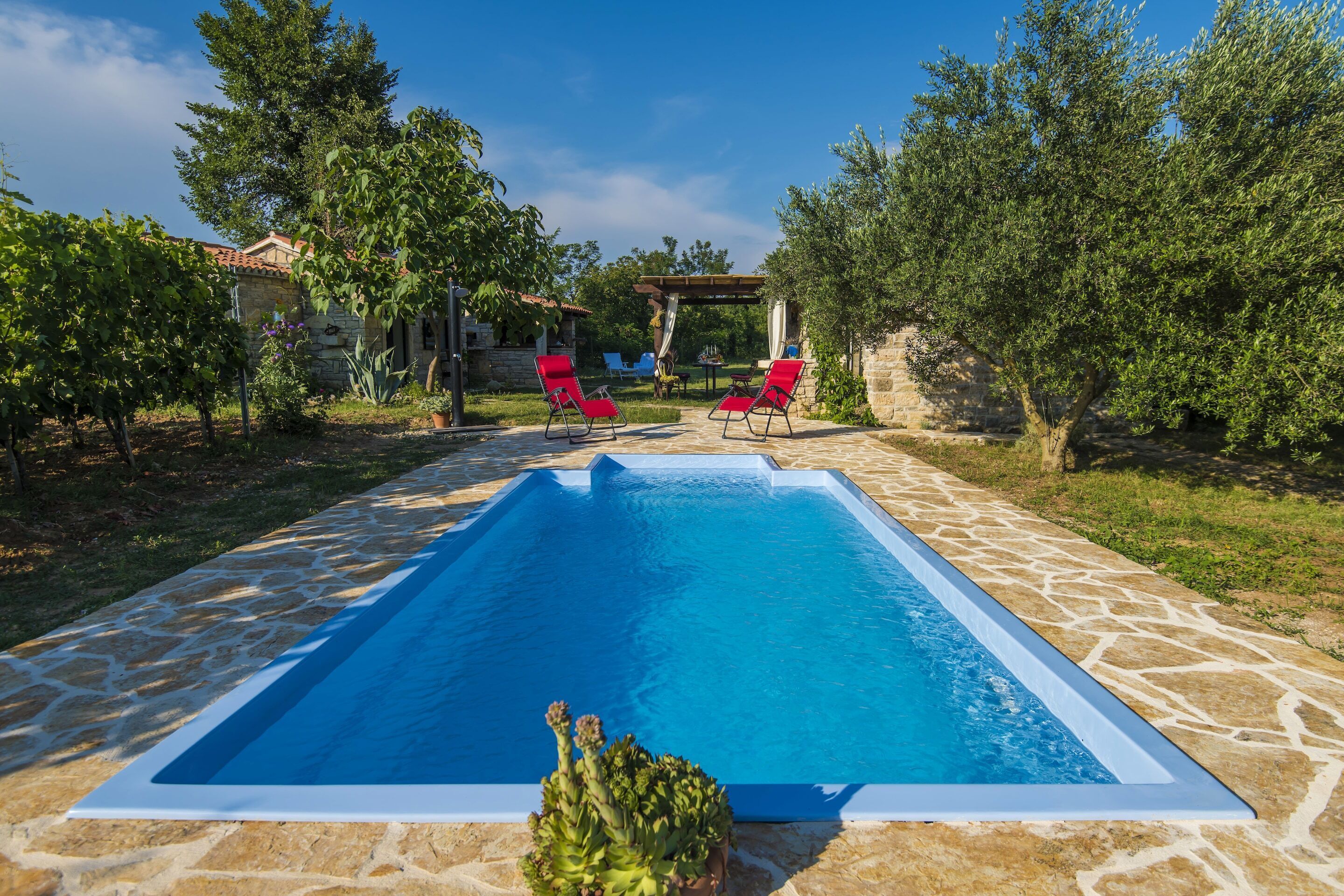 House | Pool