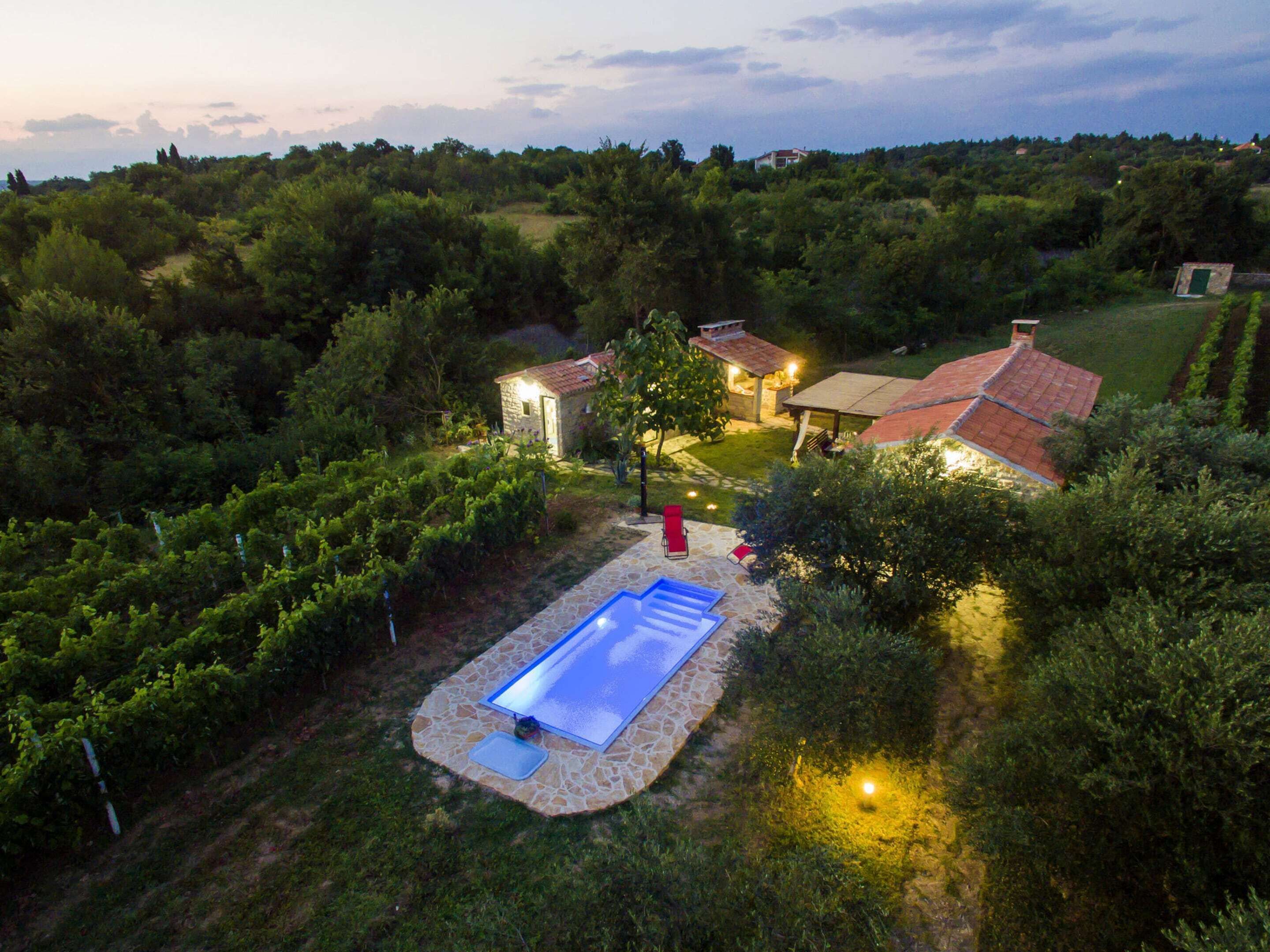 Eine Villa mit Swimmingpool, umgeben von üppiger Vegetation und einem Weinberg.