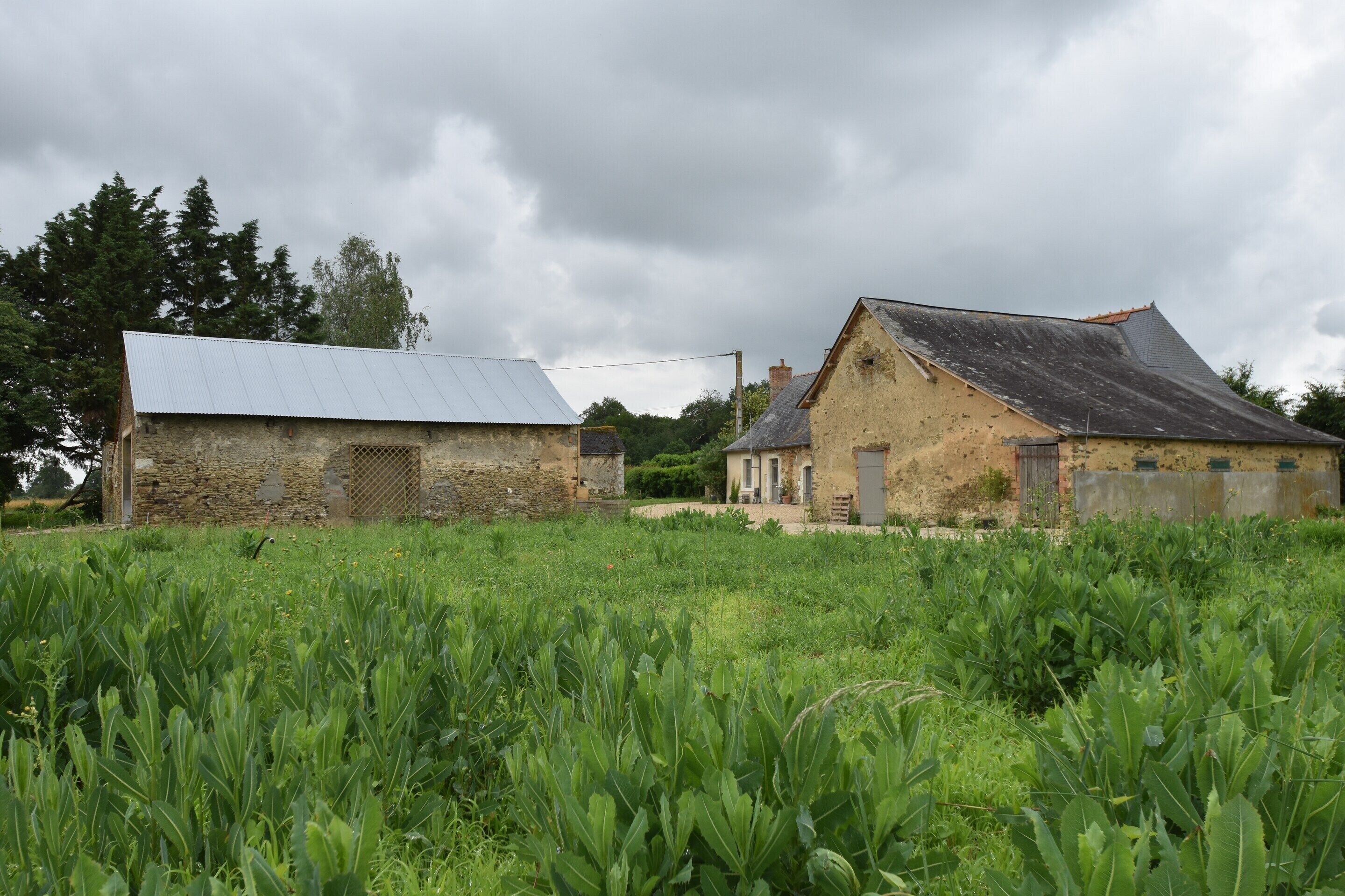Maison | Vue depuis l’hébergement