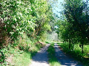 Esterni