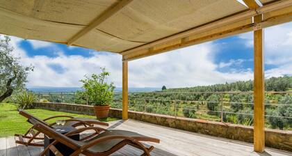 Farmhouse in Vinci With Pool and Tuscan Views