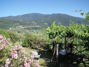 House | Dining - Agriturismo Poggio di Montepescoli - Il Forno (Pelago)