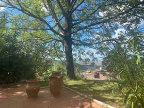 View from property - Gemmano's Villa With Pool and Vineyard (Gemmano)