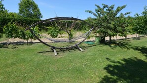 A hammock in a grassy area with trees and a clear sky. - Apartment in Gatteo Mare Near Beach (Gatteo)
