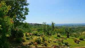 Un chemin de pierre mène à une terrasse d’où l’on peut admirer un jardin luxuriant et des bâtiments situés au loin.