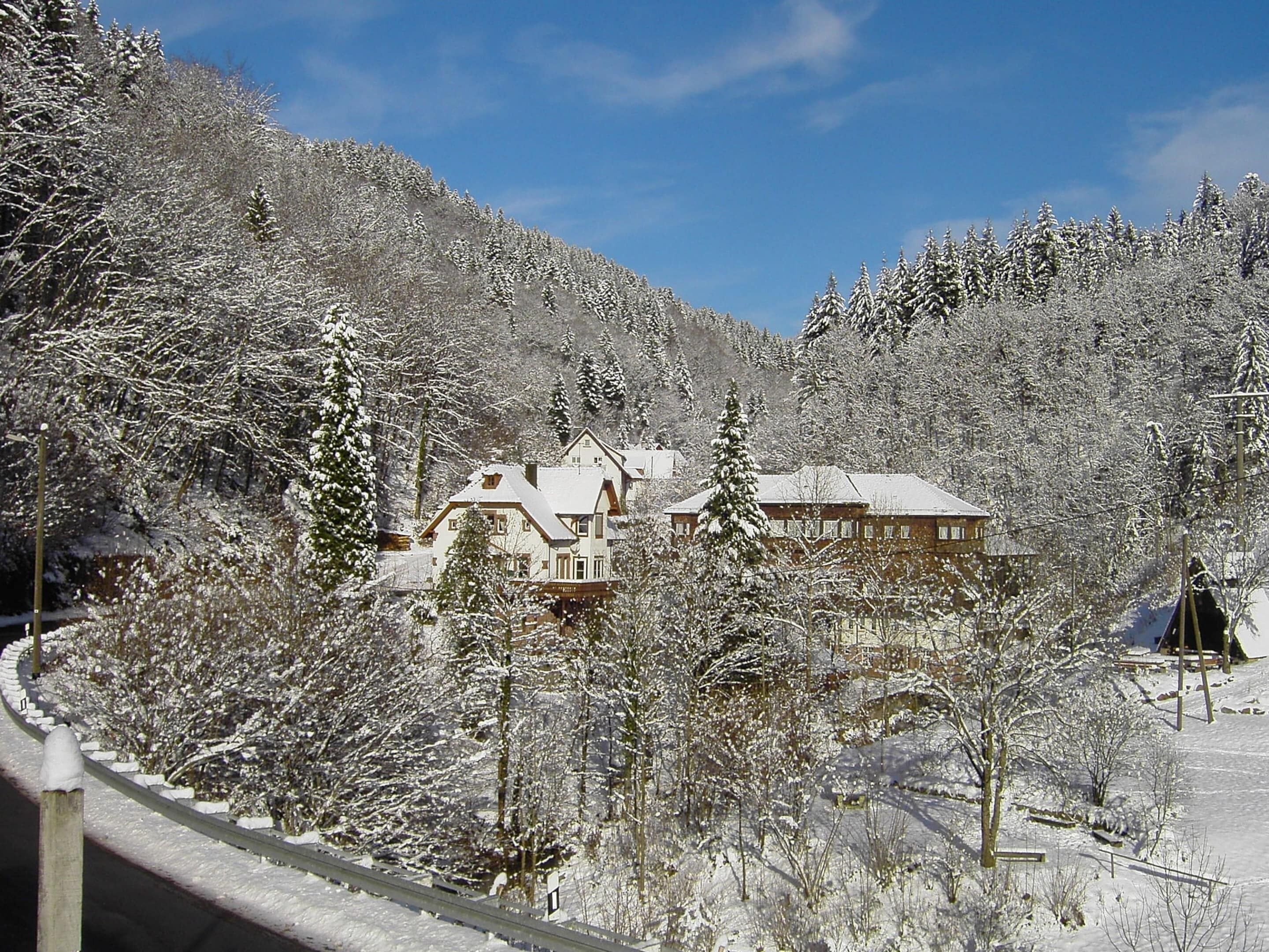 Schneebedeckte Landschaft mit einem Haus, umgeben von Bäumen.