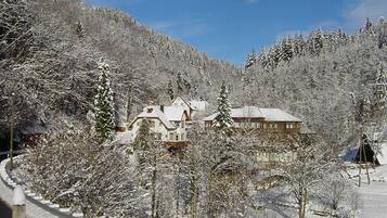 Schneebedeckte Landschaft mit einem Haus, umgeben von Bäumen.