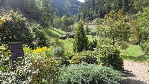 A lush green valley with a small building surrounded by trees and shrubs. - Comfy Apartment in Oppenau near Black Forest National Park (Oppenau)