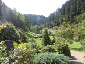 Apartment | View from property - Comfy Apartment in Oppenau near Black Forest National Park (Oppenau)