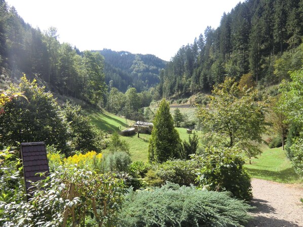 Apartment | Blick von der Unterkunft