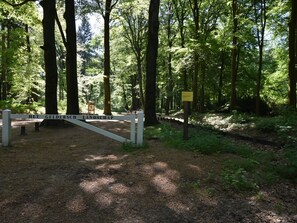 Exterior - Tasteful Villa in Guelders With a Private Terrace (Bennekom)