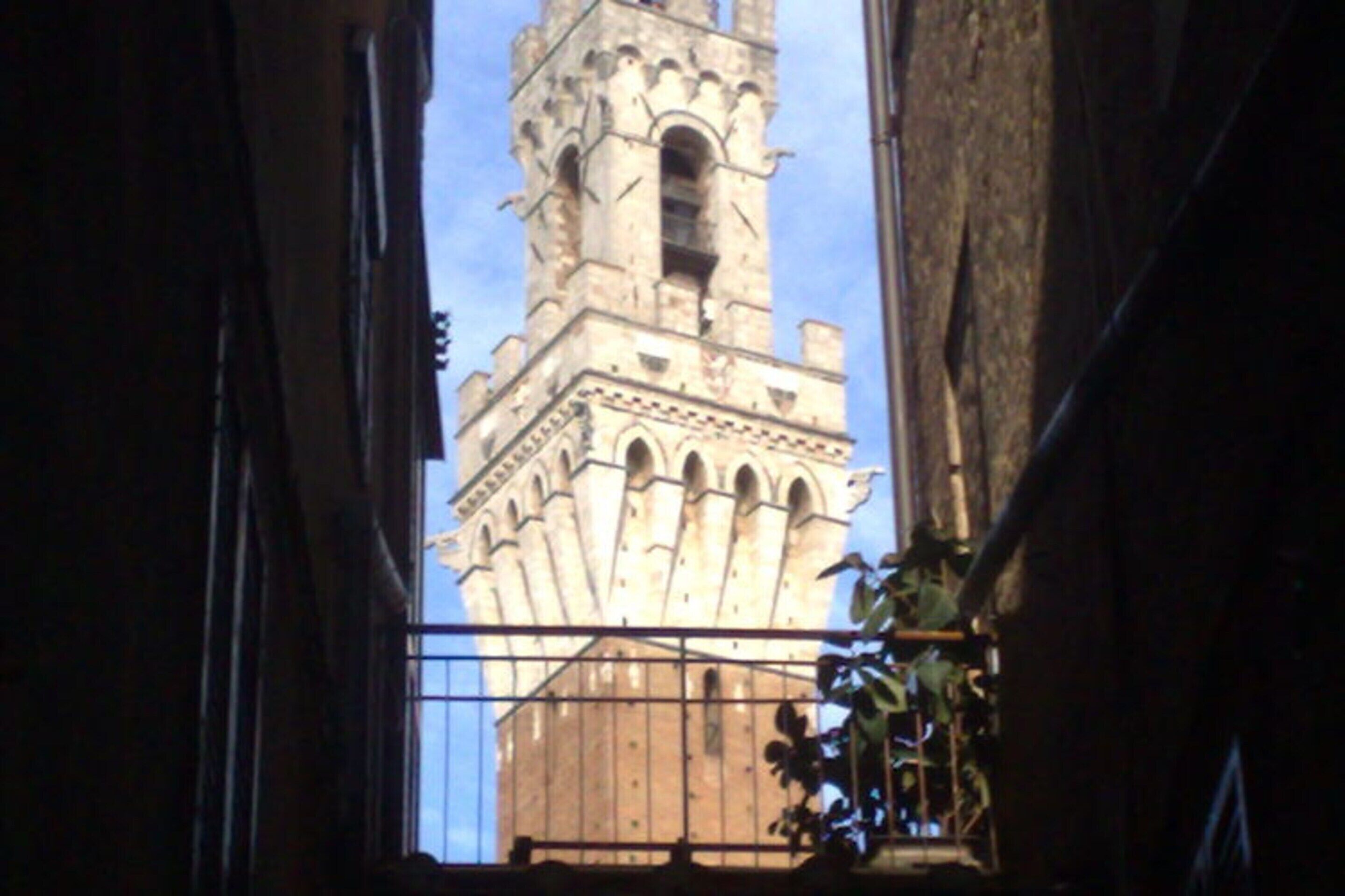 A view of a historic tower through a window with a metal railing and a potted plant.