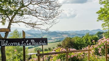 House | Interior detail
