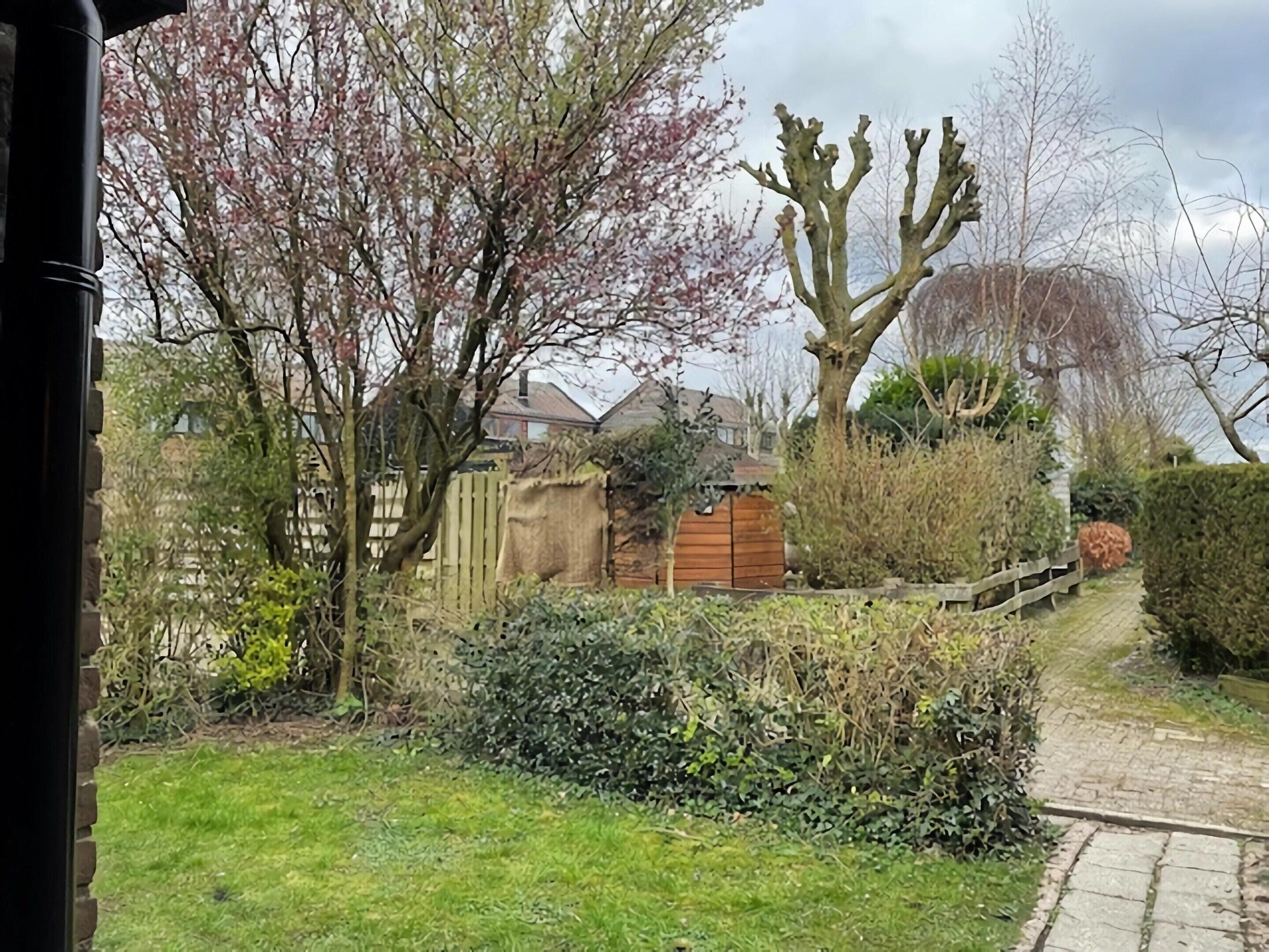 A garden with a wooden fence, a pathway, and a variety of plants.