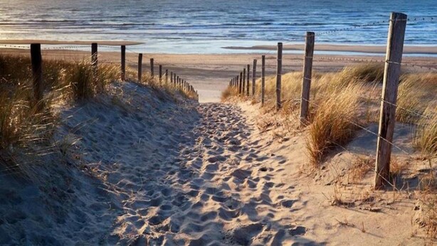A sandy beach path leading to the ocean, bordered by wooden posts and grass.