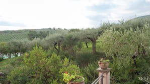 A balcony with potted plants overlooking a lush, green landscape with trees and a hill in the distance. - Farmhouse in Giano Dell'umbria with Hot Tub, Swimming Pool (Giano dell'Umbria)