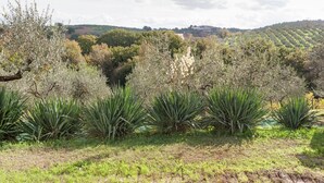 Unclassified image, 2 of 40, button - Farmhouse in Giano Dell'umbria with Hot Tub, Swimming Pool (Giano dell'Umbria)