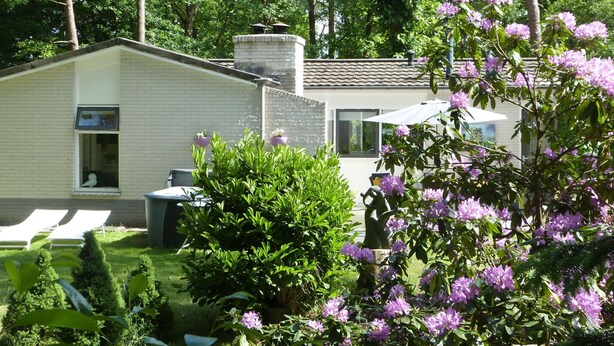 Exterior - Detached Villa with Enclosed Wooded Garden with Lawn, Hot Tub, Infrared Sauna (Holten)