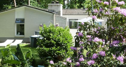 Detached Villa with Enclosed Wooded Garden with Lawn, Hot Tub, Infrared Sauna