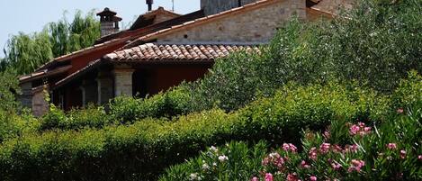 المنشأة من الخارج